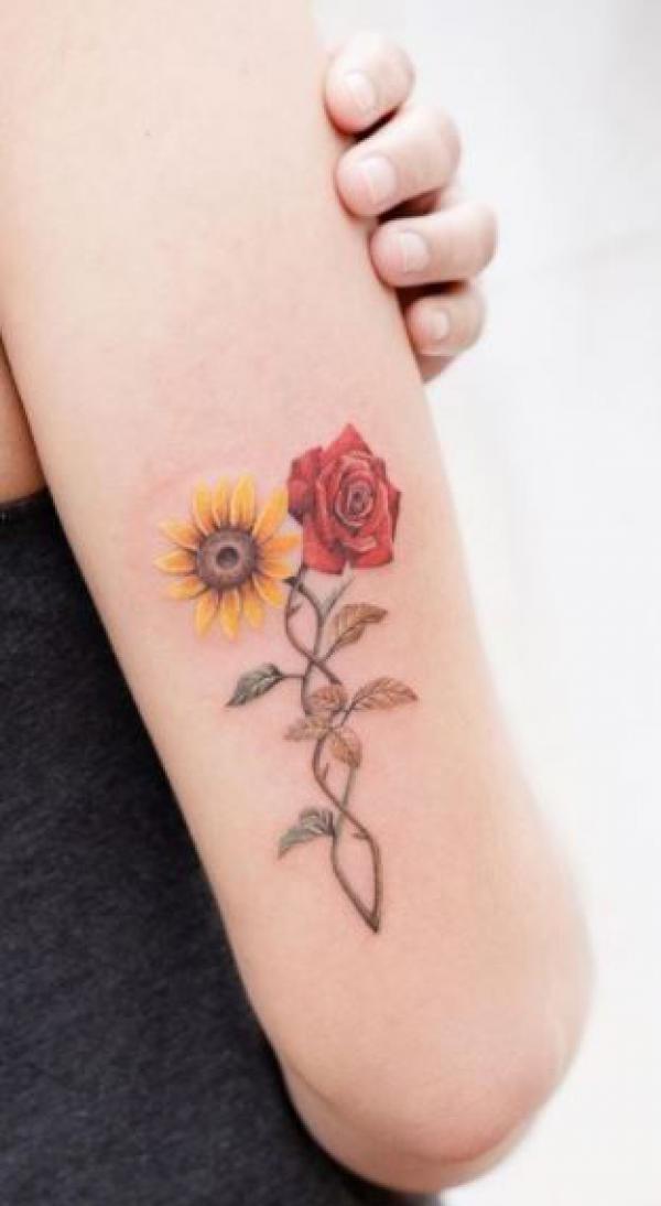 Rose and sunflower with vines of DNA strand