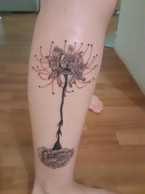 Spider Lily and Carnation