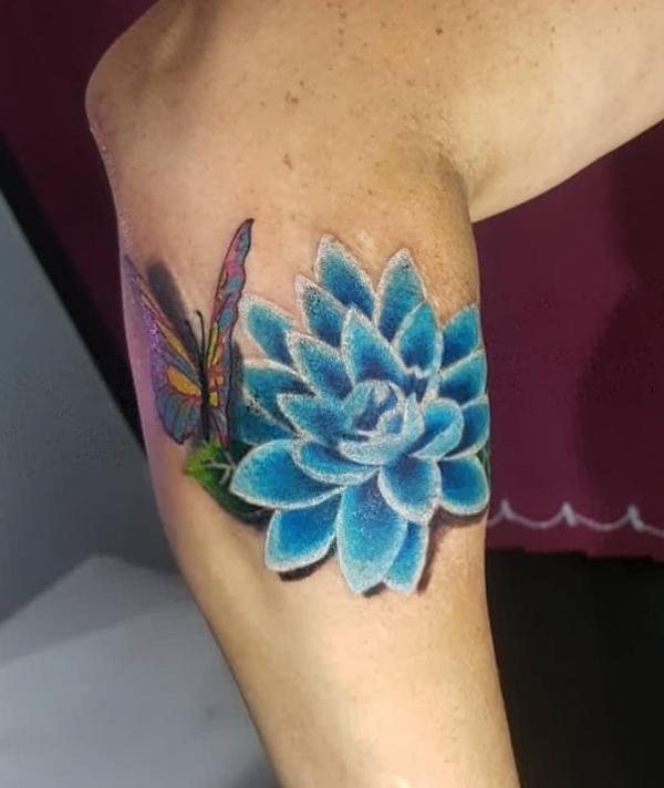 A butterfly perched on a blue lotus