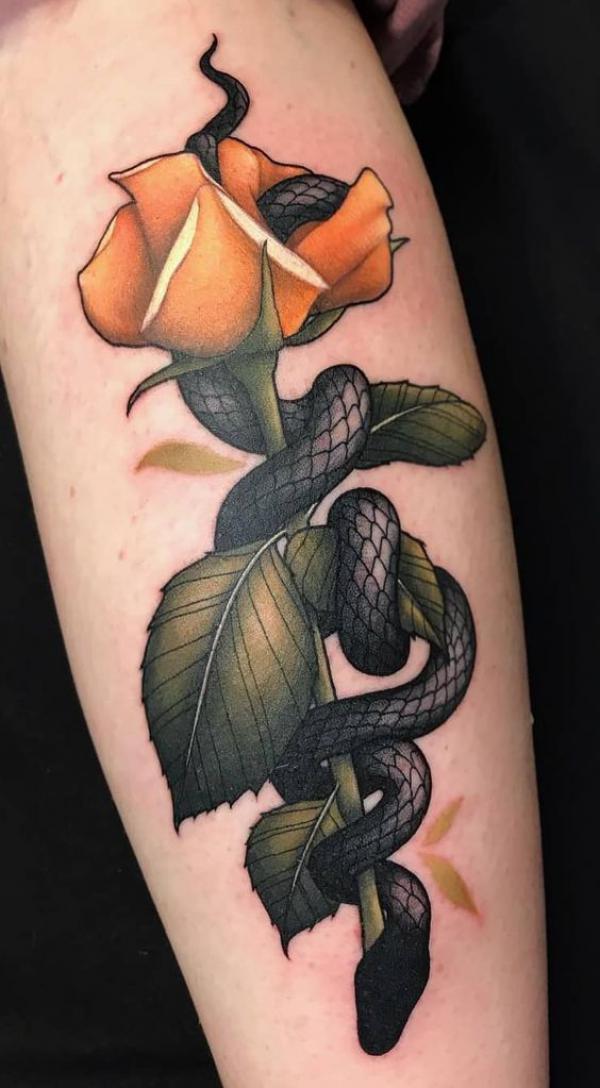 A yellow rose with stem and a snake