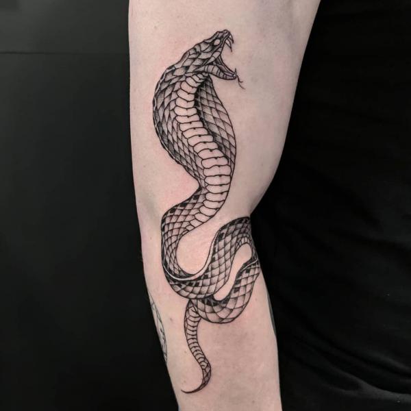 Black and grey cobra arm tattoo