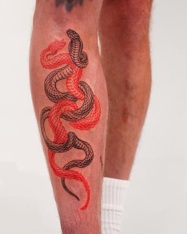Black and red cobra snakes tattoo on lower leg