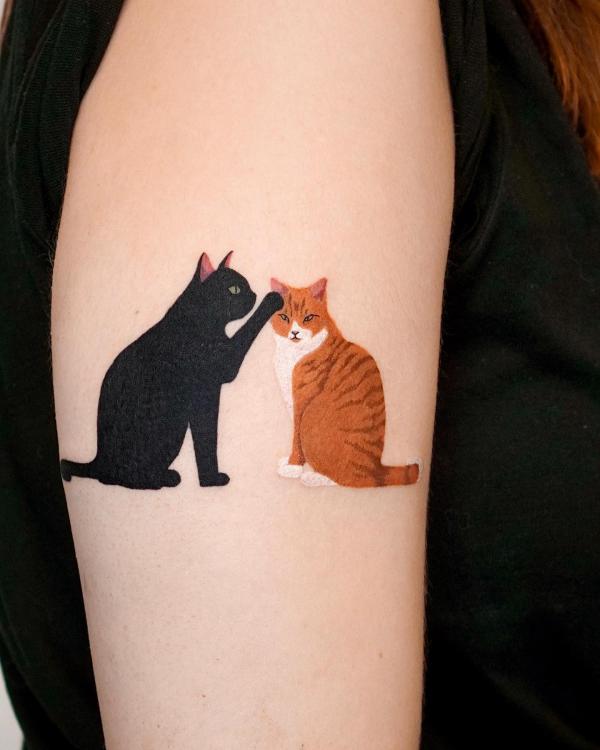 Black and yellow cats