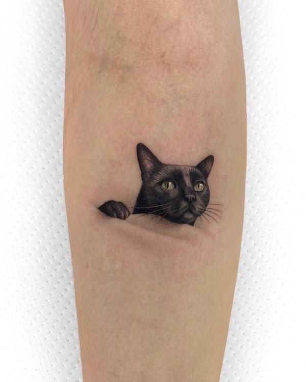 Black cat and its claw