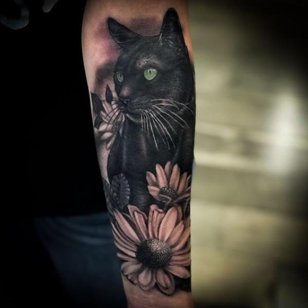 Black cat and sunflower