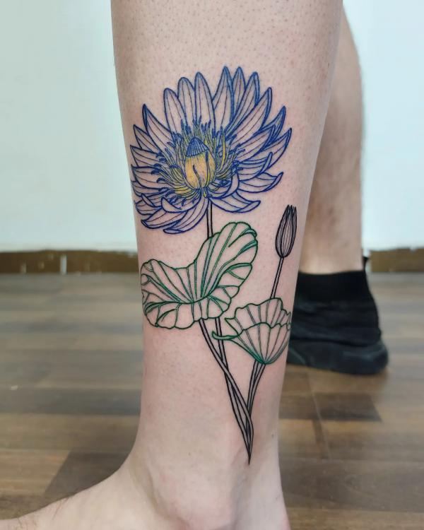 Blue lotus flower and leaf outline