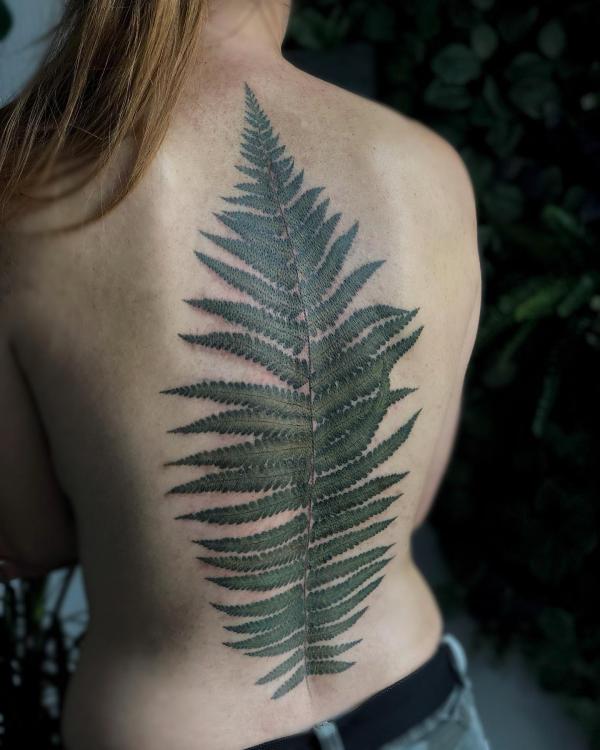 I love fern tree there ones of my fav! Rely happy to meet you in person  Alex it was a very great session thank you so much! New tattoo ... |  Instagram