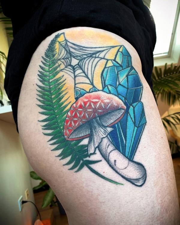 Fern diamond mushroom and spider web