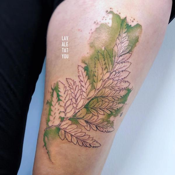 Fern outline on green watercolor backdrop