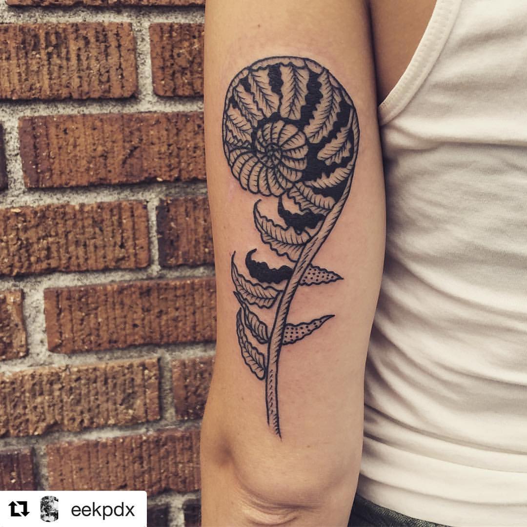 Fiddlehead fern arm tattoo