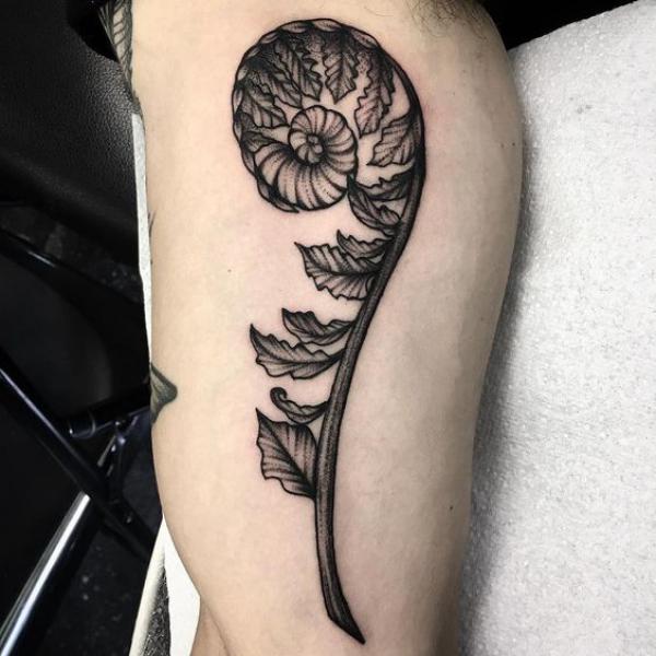 Fiddlehead fern tattoo