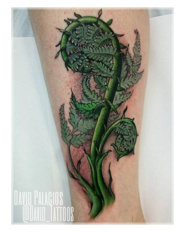 Green Fiddlehead fern tattoo