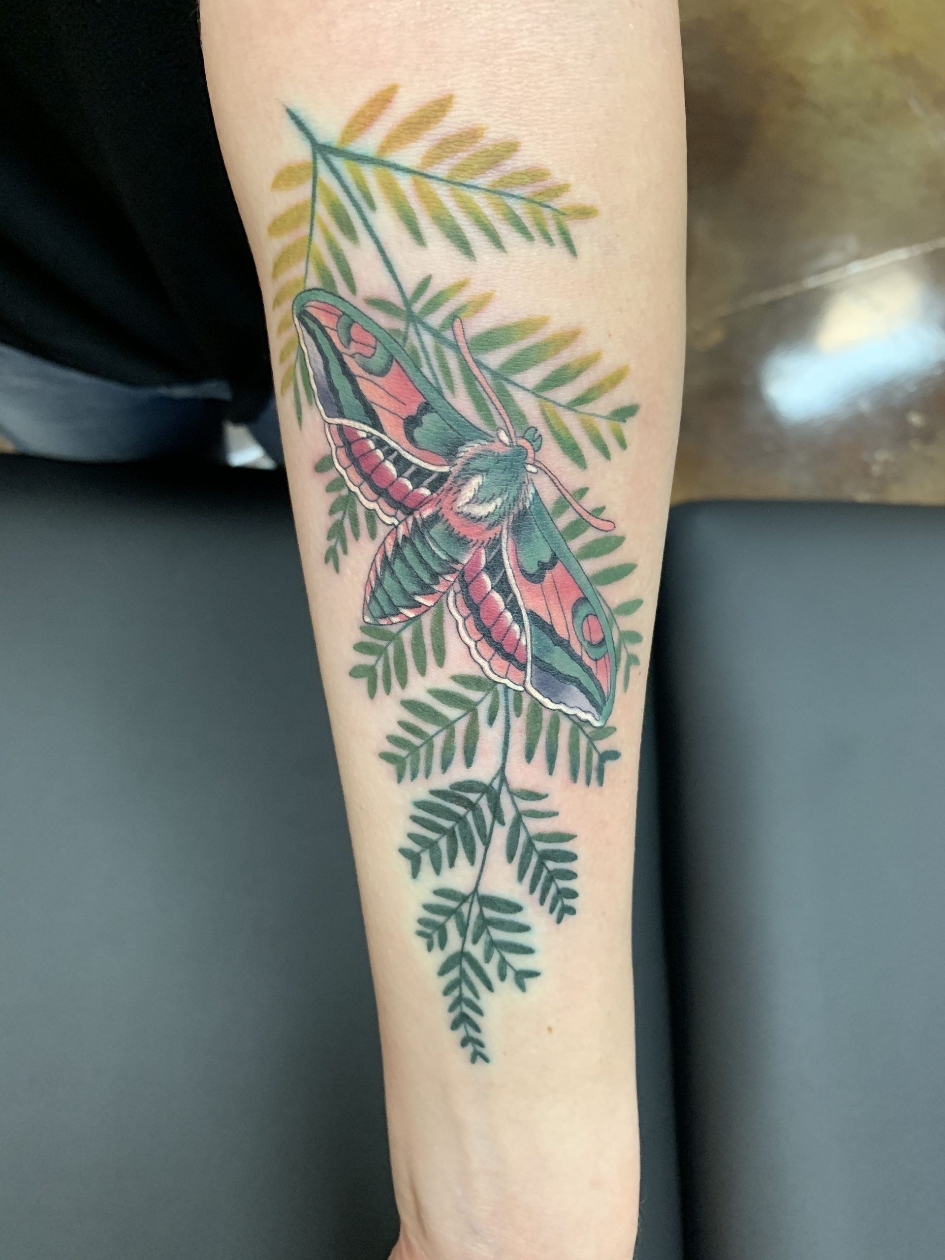 50 Fern Tattoo Designs with Meaning