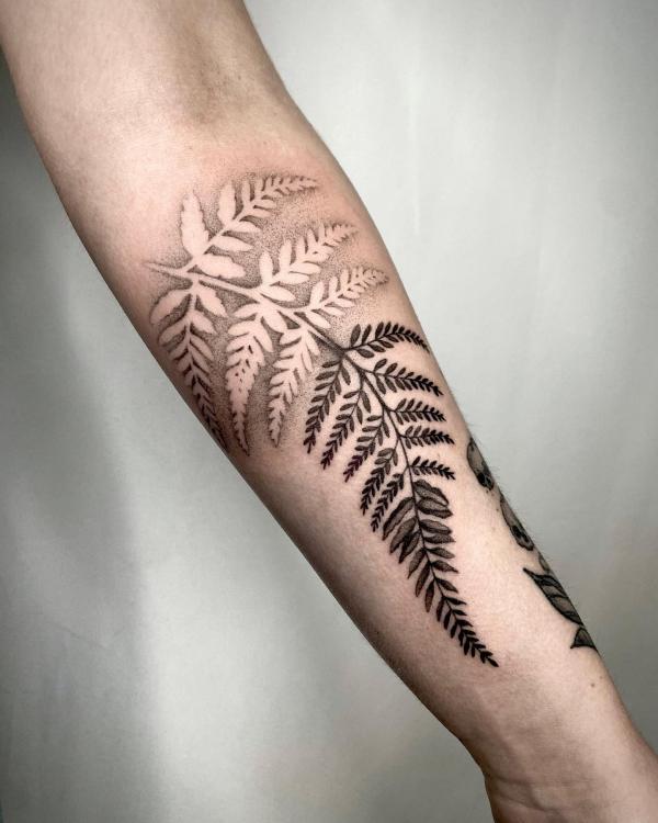 50 Fern Tattoo Designs with Meaning