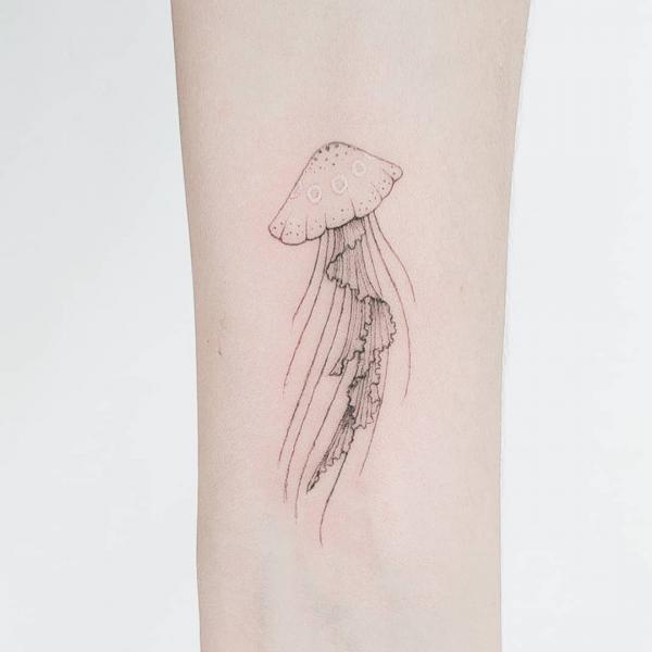 Jellyfish outline