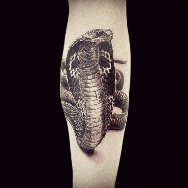 Realistic cobra tattoo on forearm