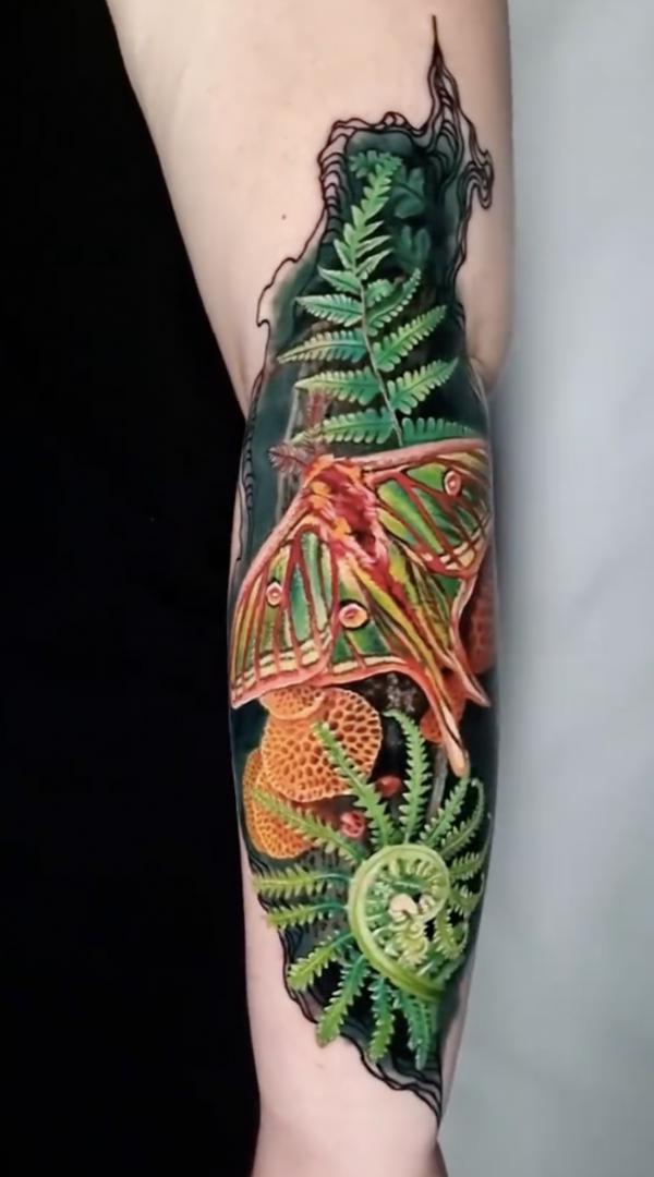 Realistic fern and lunar moth tattoo