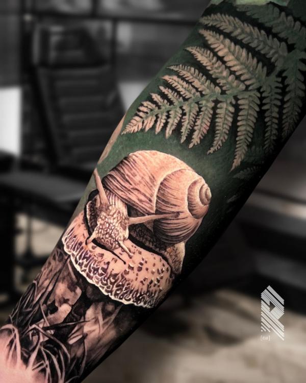 Realistic snail on mushroom with ferns