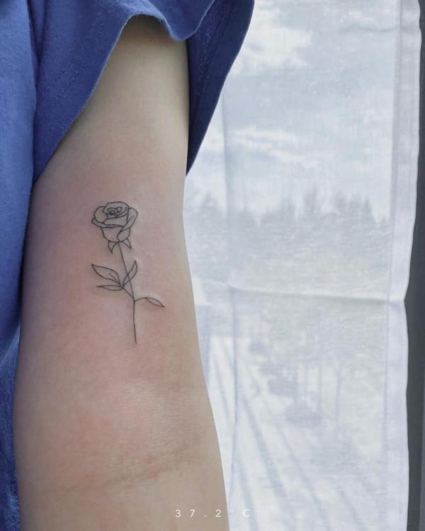 Rose with stem outline