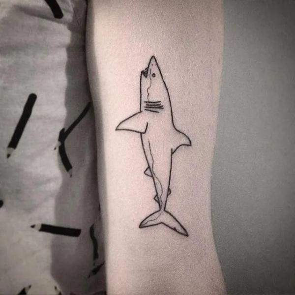Shark outline