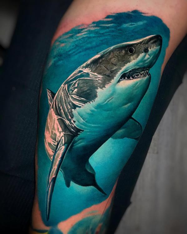 Single shark tattoo