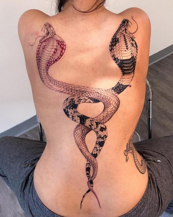 Two cobra snakes entwined into DNA strands