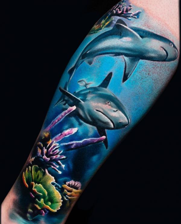 Two sharks in blue sea