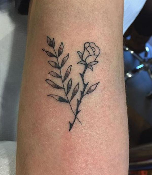 Willow leaves and rose outline