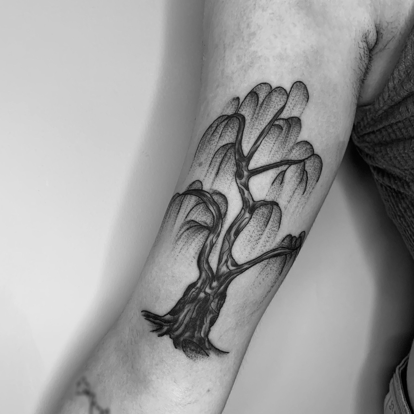 25 Best Leaf Tattoos