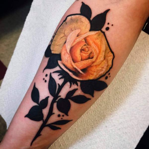 Yellow rose and black stem