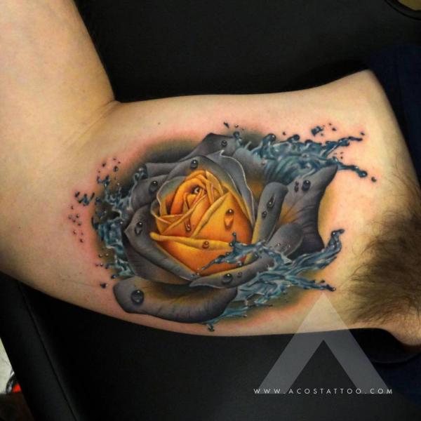 Yellow rose core and splashing dark petals