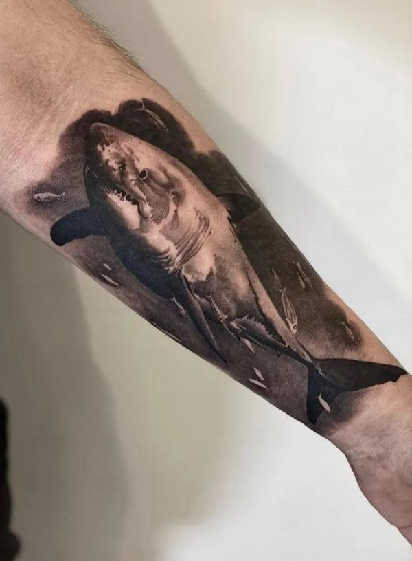 bull shark tattoo