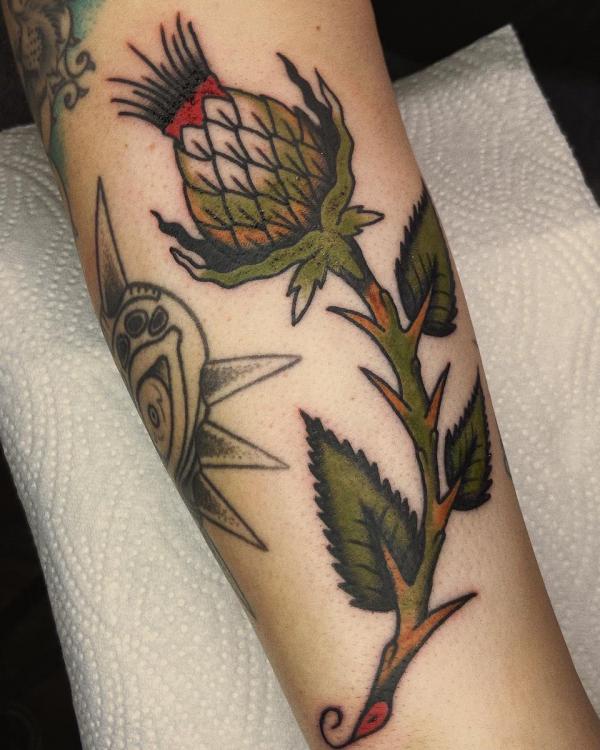 American traditional thistle tattoo on forearm