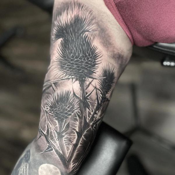 Black and grey thistle bicep tattoo