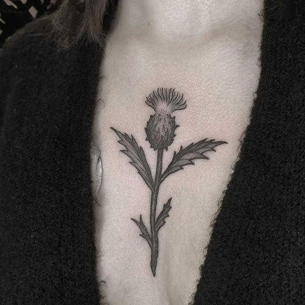 Black and grey thistle tattoo above boob