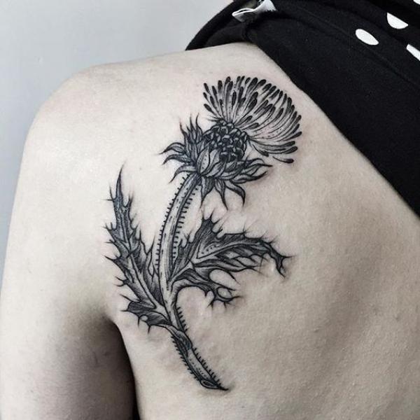 Black and white thistle tattoo on shoulder blade