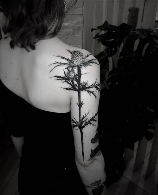 Black ink thistle back of arm tattoo