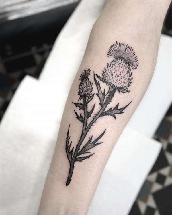 Forearm thistle tattoo black and grey