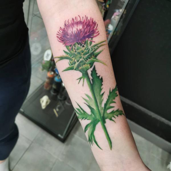 Large thistle forearm tattoo