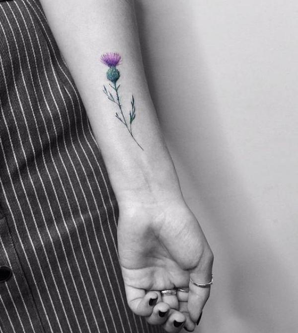 Minimalist thistle tattoo on inner forearm