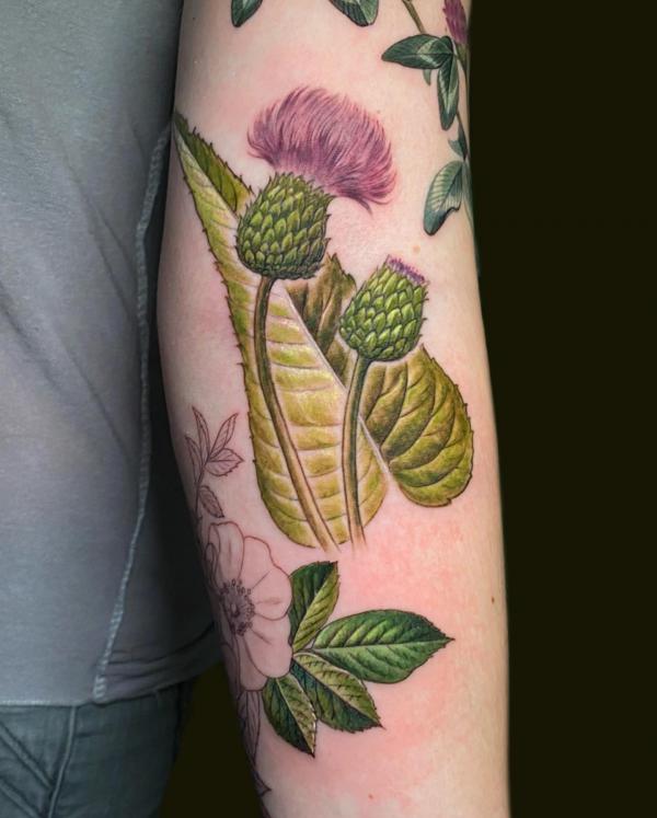 Realistic thistle arm tattoo