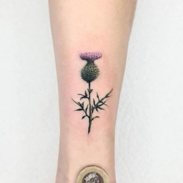 Small thistle forearm tattoo
