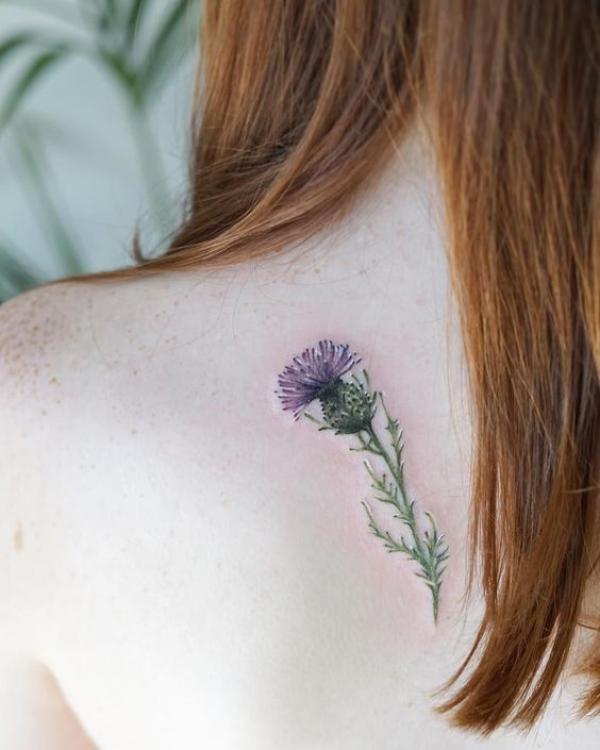 Small thistle tattoo on upper back