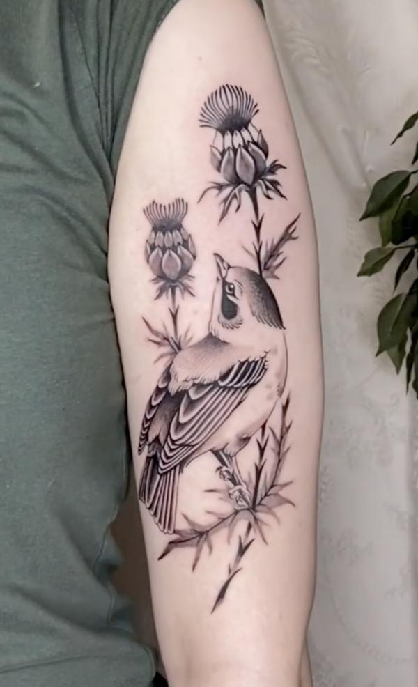 Thistle and bird tattoo
