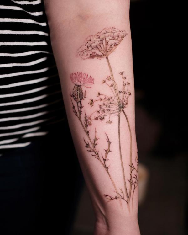 Thistle and wild carrot forearm tattoo