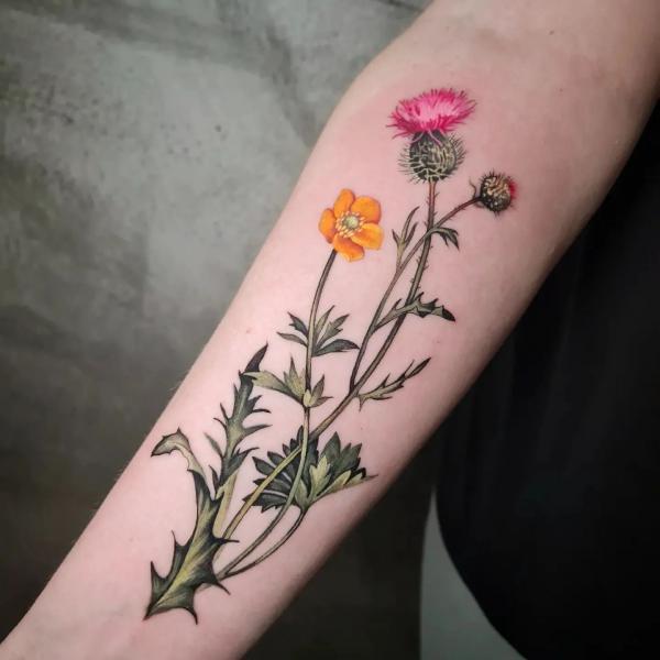 Thistle and yellow poppy tattoo forearm