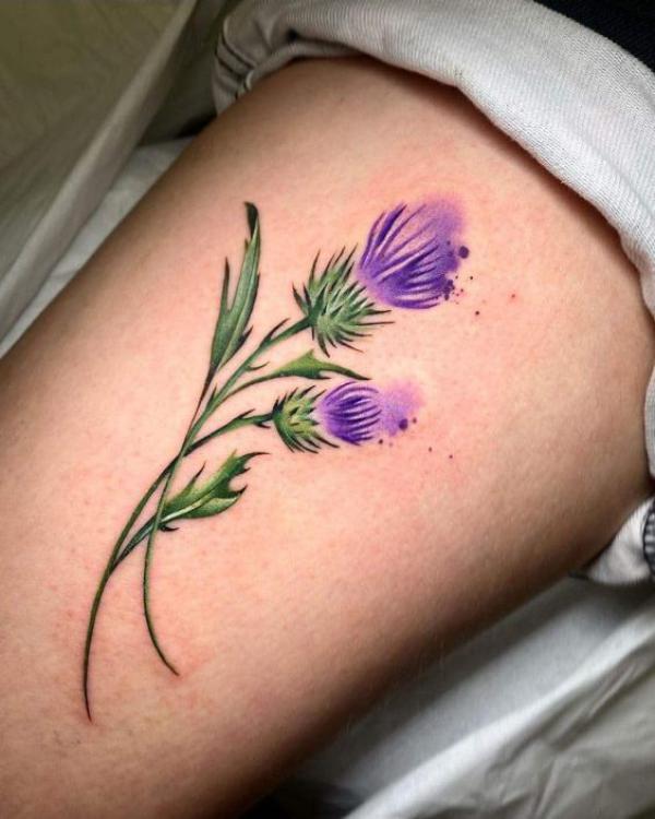 Thistle arm tattoo