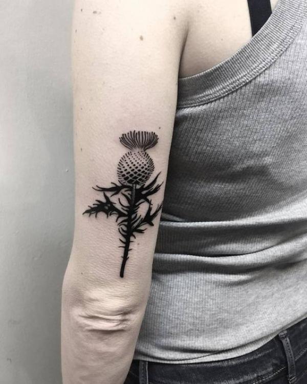 Thistle back of arm tattoo