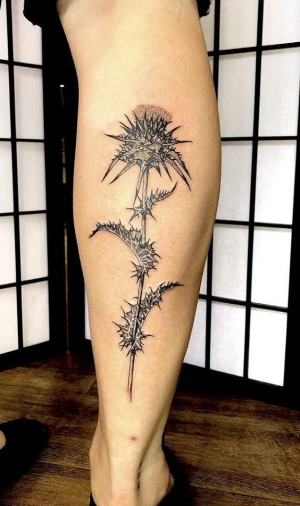 Thistle calf tattoo