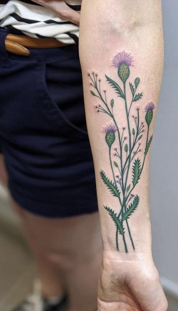 Thistle inner forearm tattoo